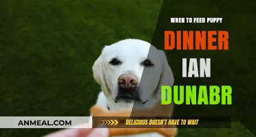 Puppy Dinner Timing: Ian Dunbar's Expert Tips for Optimal Feeding