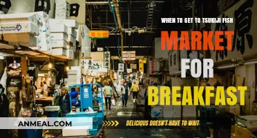 Best Time to Visit Tsukiji Fish Market for Breakfast