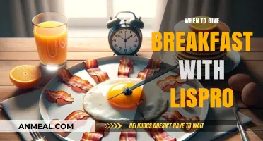 Timing Breakfast with Lispro: Optimal Strategies for Blood Sugar Control