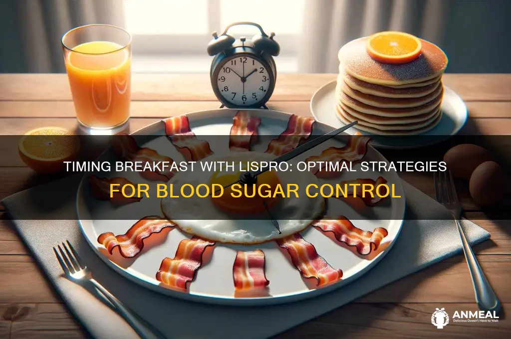 when to give breakfast with lispro