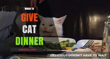 Purr-fect Timing: When to Serve Your Cat's Evening Meal