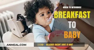 Introducing Breakfast to Your Baby: Timing and Tips for a Healthy Start