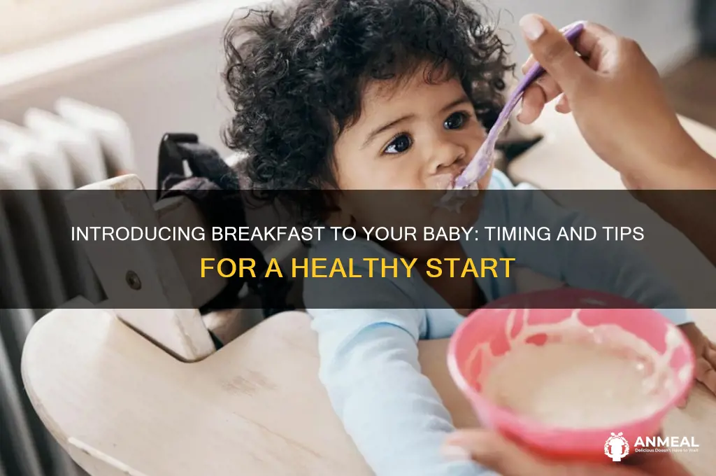 when to introduce breakfast to baby