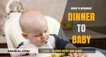 Introducing Dinner to Your Baby: Timing and Tips for a Smooth Start