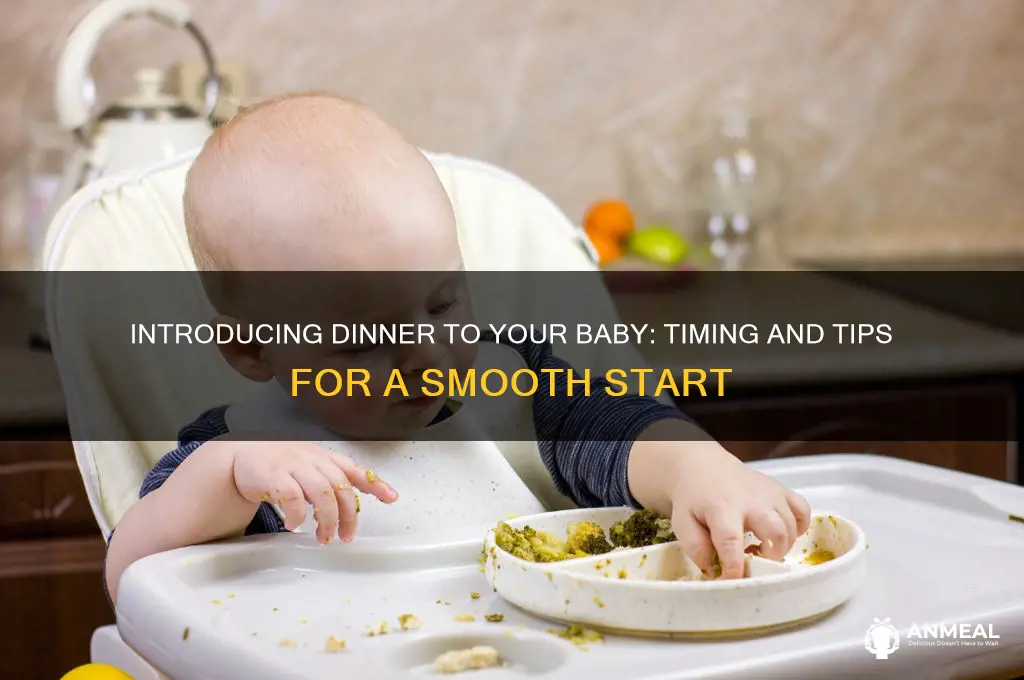 when to introduce dinner to baby