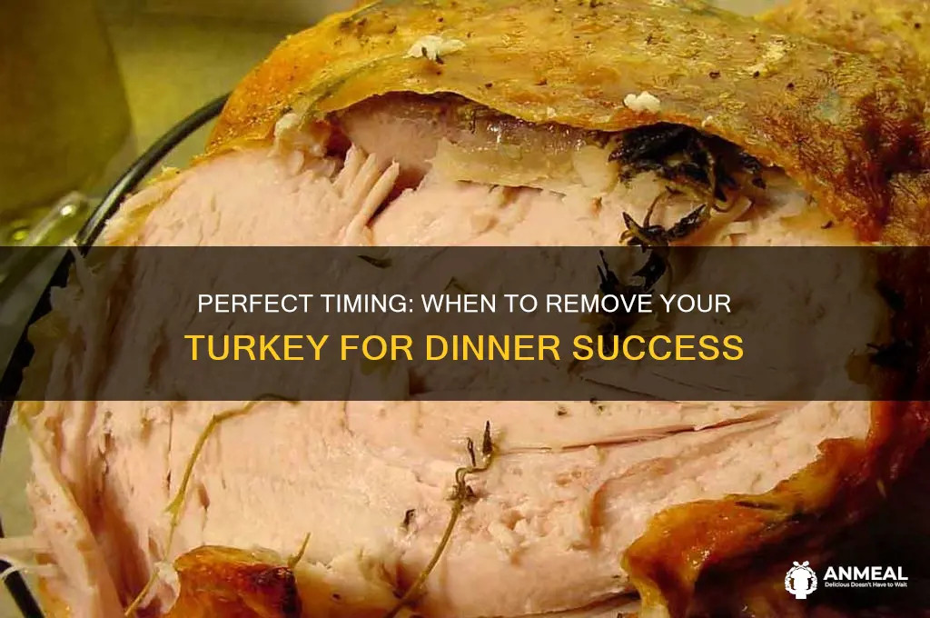 when to pull turkey out of the oven before dinner
