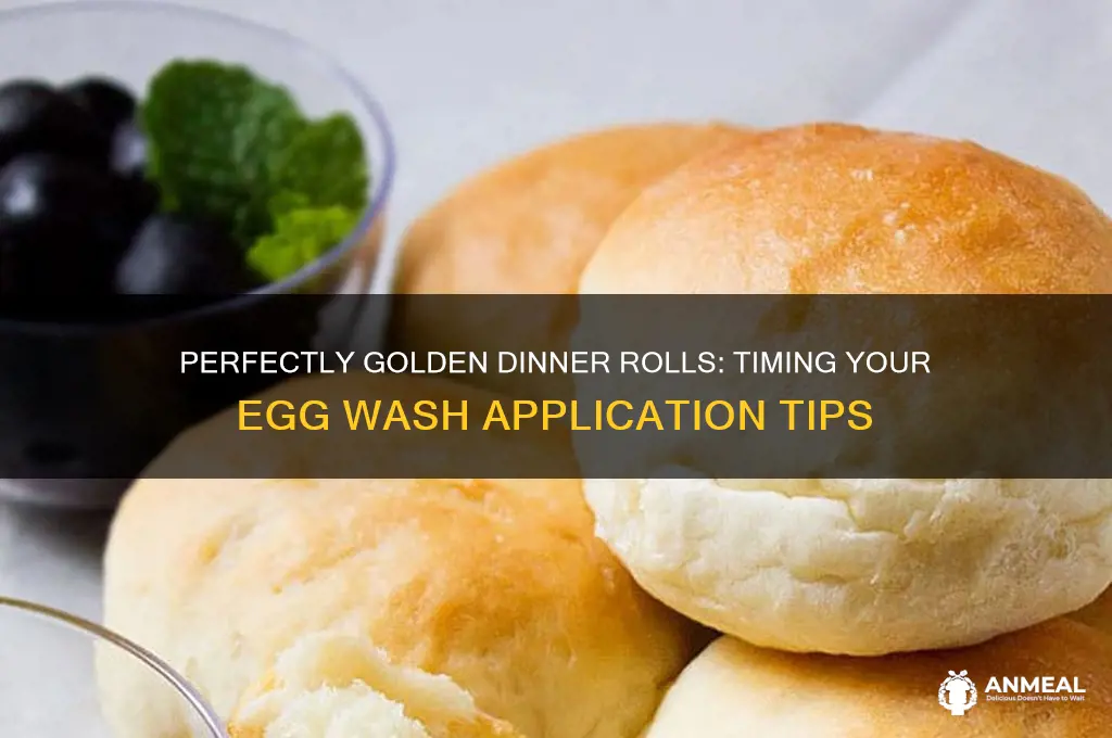 when to put egg wash on dinner rolls