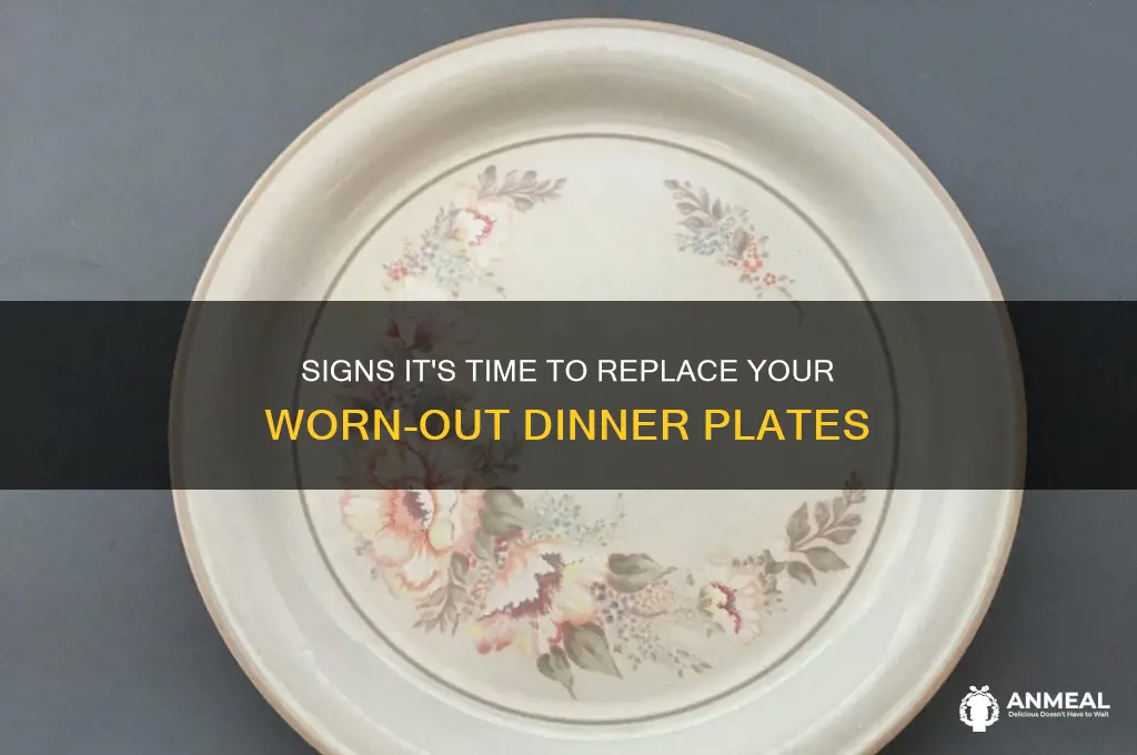 when to replace dinner plates