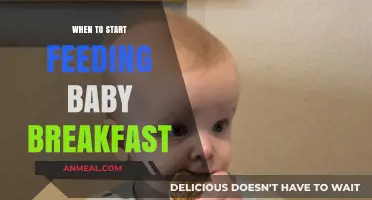 When Should Babies Start Breakfast? A Parent's Guide to Timing
