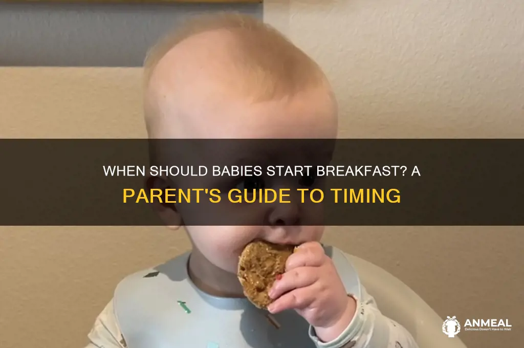 when to start feeding baby breakfast