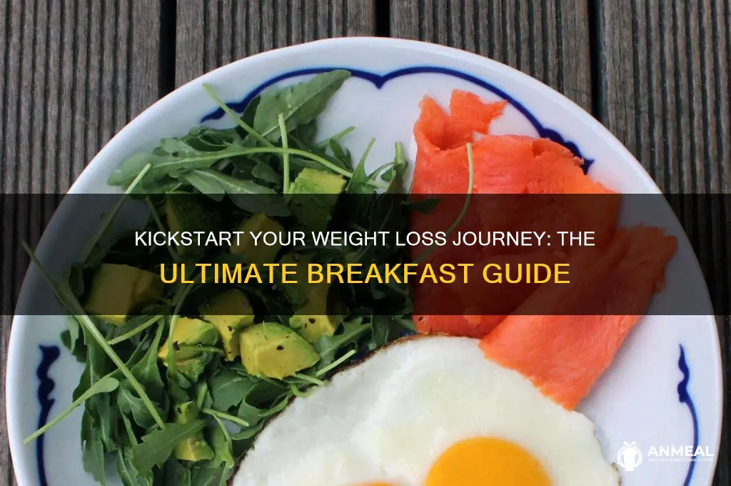 when trying to lose weight what is the best breakfast