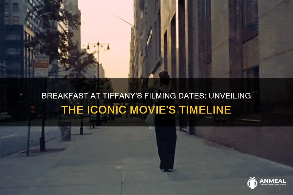 when was breakfast at tiffany