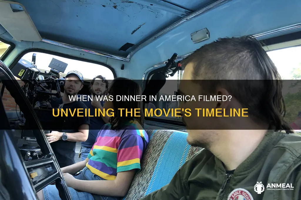 when was dinner in america filmed