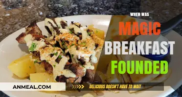 Magic Breakfast: A Journey Since Its Founding in 2001