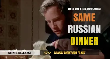 Stein and Flynn's Controversial Russian Dinner: Unraveling the Timeline