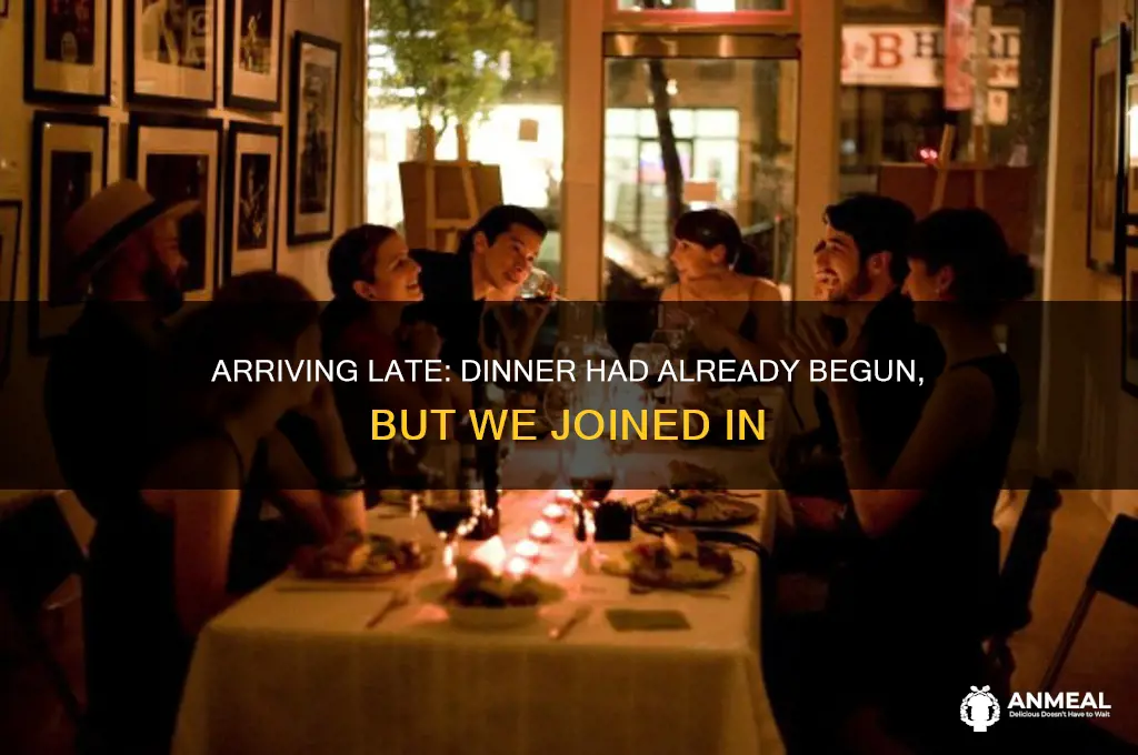 when we arrived the dinner already begin