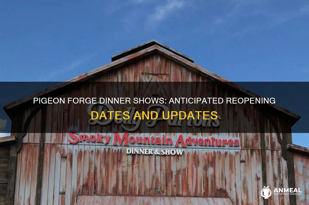 when will dinner shows open in pigeon forge