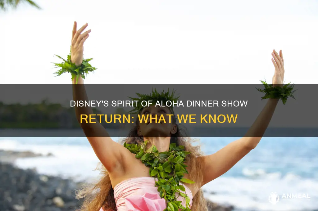 when will disney