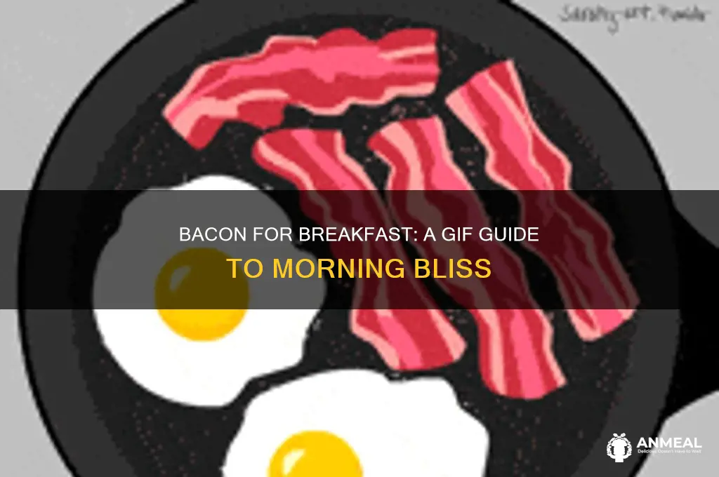 when you get bacon for breakfast gif