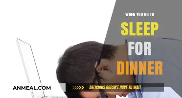 Dinner, Then Dreams: The Surprising Habit of Sleeping After Meals