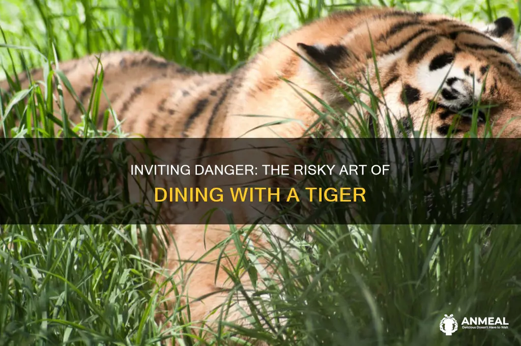 when you invite a tiger to dinner