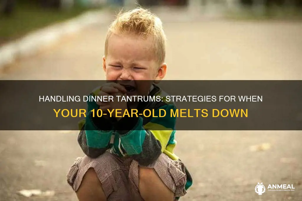 when your 10 year old throws a fit about dinner