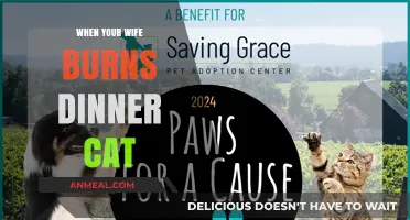 When Dinner Goes Up in Flames: Cat Saves the Day
