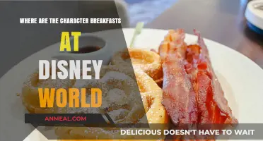 Discover Disney World's Magical Character Breakfast Locations and Experiences