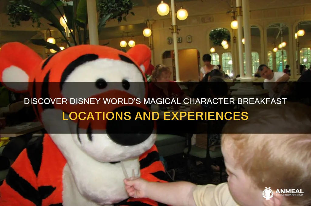 where are the character breakfasts at disney world