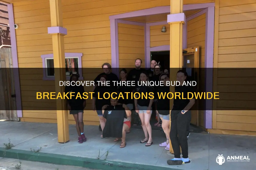 where are the three bud and breakfast locations