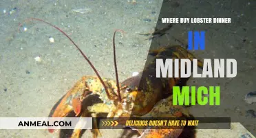Best Spots for Lobster Dinner in Midland, Michigan: A Guide