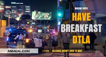 Where DTLA Cops Fuel Up: Breakfast Hotspots in Downtown LA