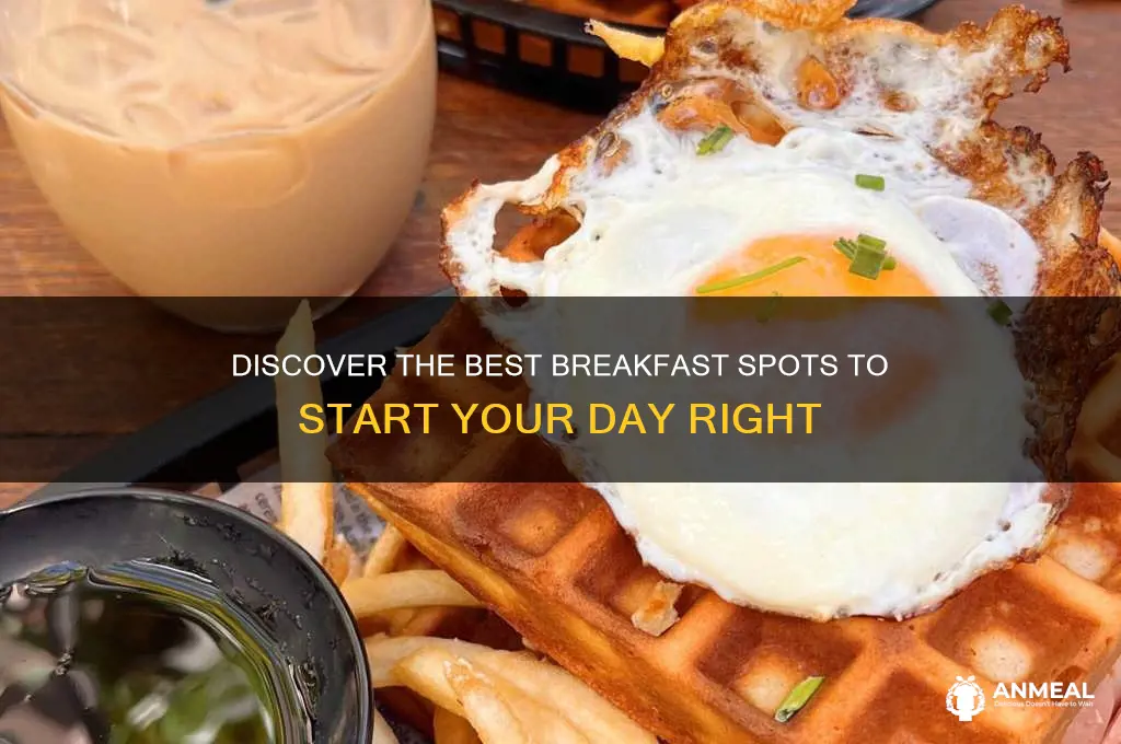 where could we go for breakfast