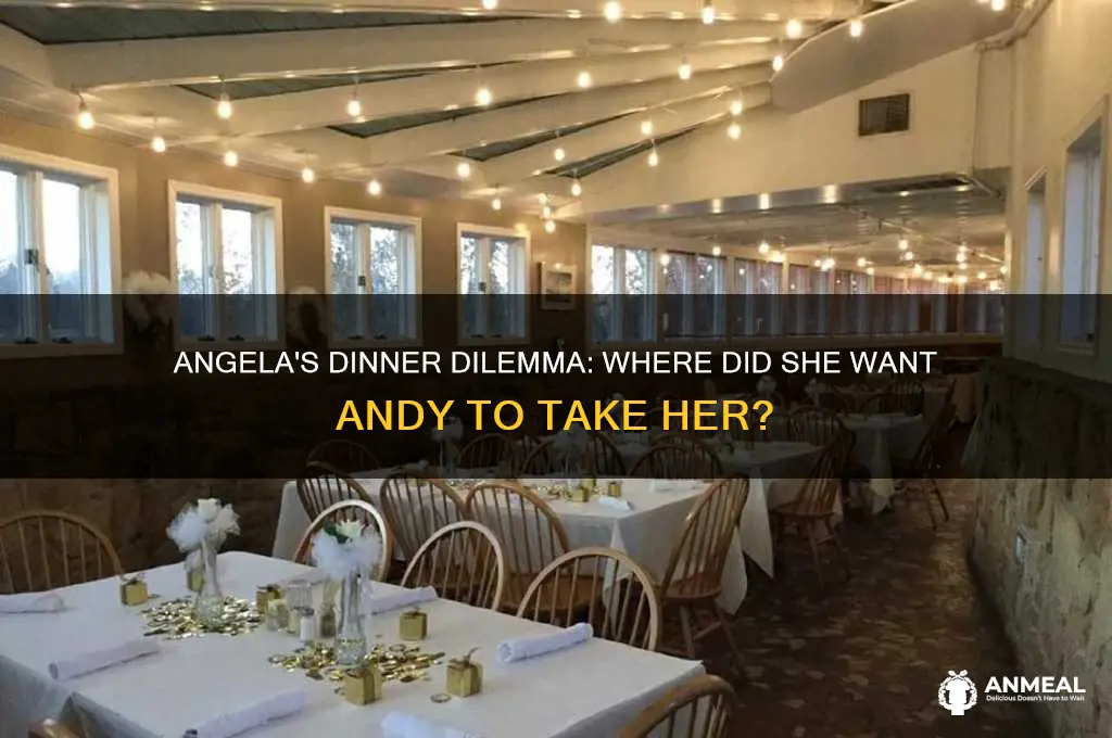 where did angela want andy to take her for dinner