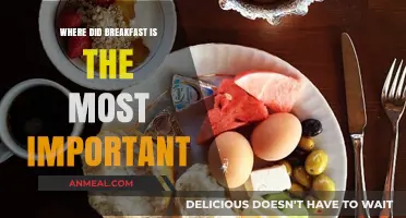 Why Breakfast is the Most Important Meal of the Day