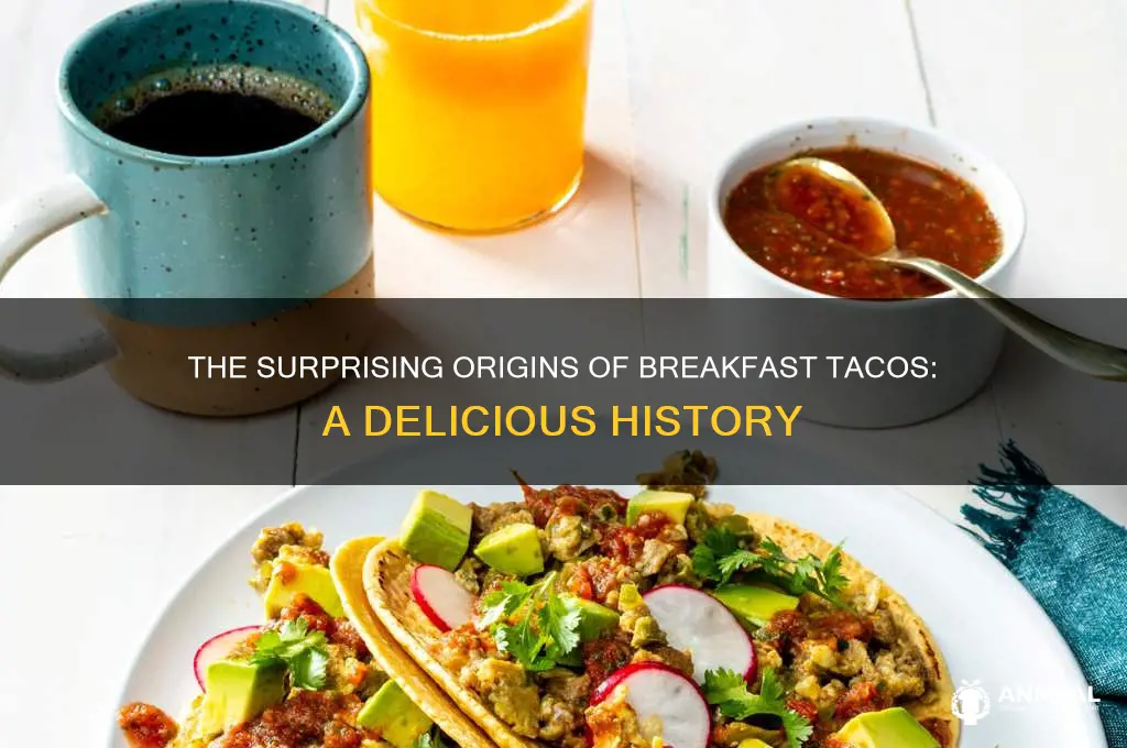 where did breakfast tacos come from