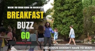 Brian Kania's Disappearance from Rochester Breakfast Buzz: What Happened?