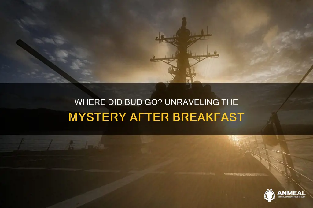 where did bud go after breakfast