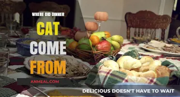 The Mysterious Origins of the Dinner Cat Phenomenon Explained