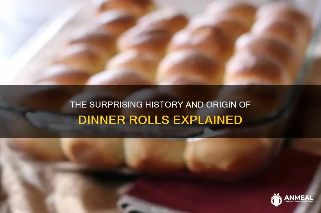 where did dinner rolls come from