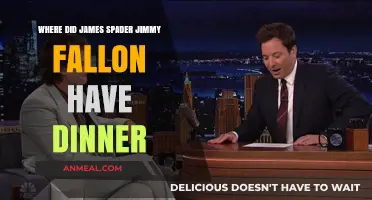 James Spader and Jimmy Fallon's Dinner Spot Revealed