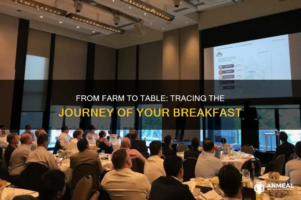 where did my breakfast come from supply chain