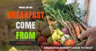 From Farm to Table: Tracing the Origins of Your Breakfast