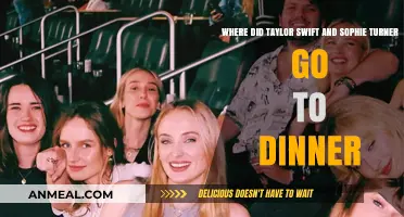 Taylor Swift & Sophie Turner's Dinner Spot: Where Did They Go?