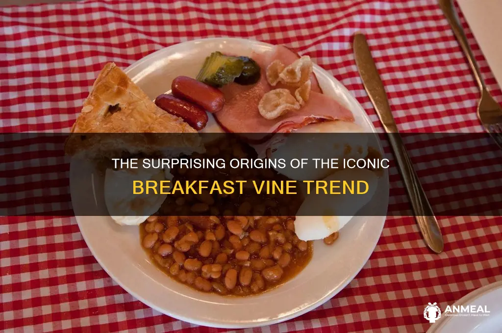 where did the breakfast vine originate