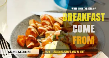 The Surprising Origins of Breakfast: A Historical Morning Meal Journey
