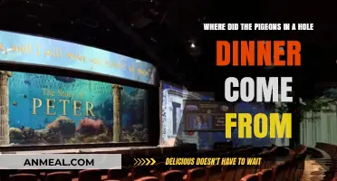 Origins of Pigeons in a Hole Dinner: A Culinary Mystery Unveiled