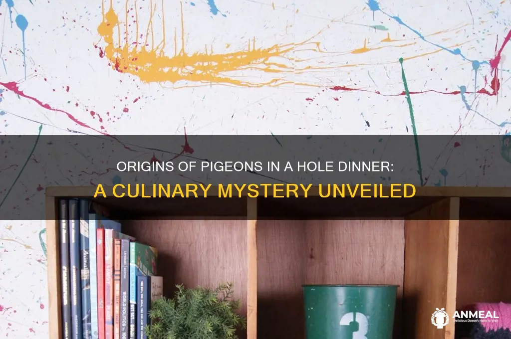 where did the pigeons in a hole dinner come from