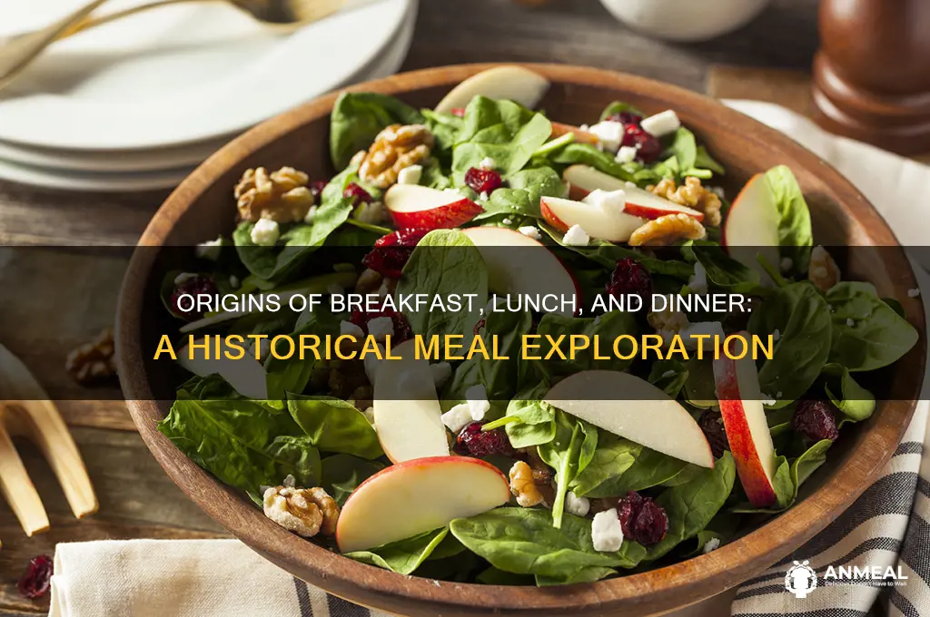 where did the terms breakfast lunch and dinner come from