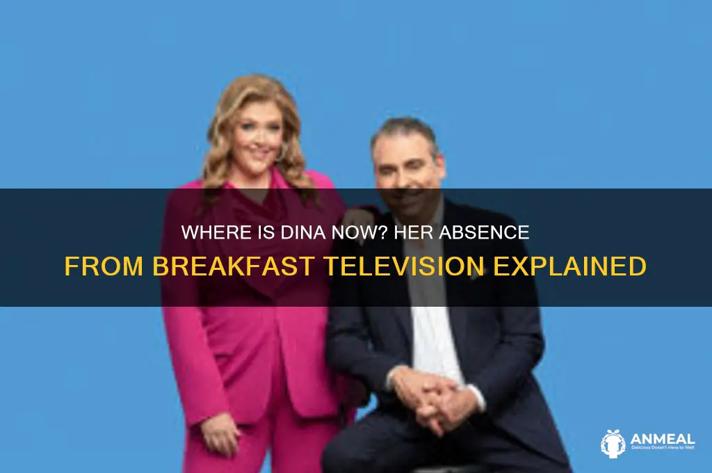 where dina on breakfast television